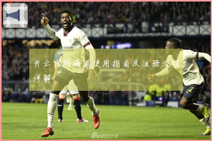 开云官网通道使用指南及注册流程详解