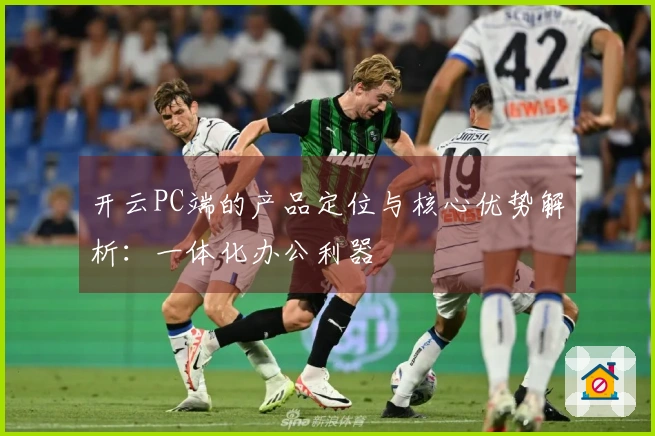 开云PC端的产品定位与核心优势解析：一体化办公利器