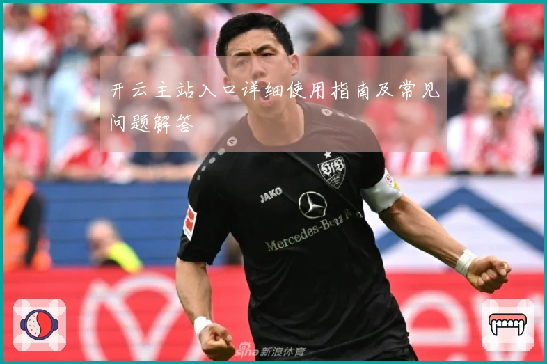 开云主站入口详细使用指南及常见问题解答